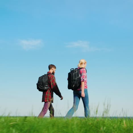 a couple of tourists with backpacks are walking along the crest of a large green hill 4