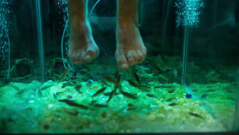 feet peeling with garra rufa fish