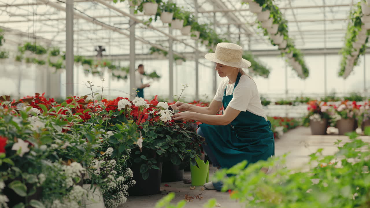 Donna che si prende cura dei fiori in una serra commerciale