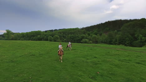 man and woman riding horses in the field. romantic date in the beautiful nature in summer.