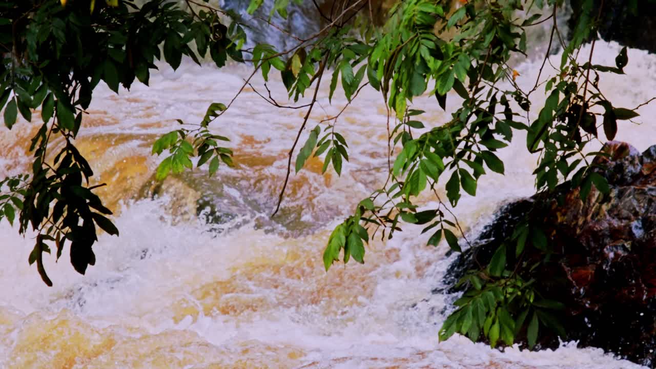 vista de una inundación repentina a través de los árboles durante una sequía en brasil