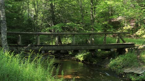 Un-Puente-Peatonal-Vacío-En-Judy-Springs,-Ubicado-Dentro-Del-área-Recreativa-Nacional-Spruce-Knob-seneca-Rocks-En-Virginia-Occidental