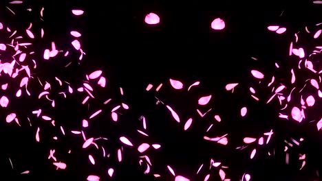 cherry blossom petals falling on black background, loop glitter animation,