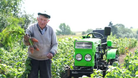 A 90yearold Village Worker Holding Freshly Picked Carrots and Pointing at the Camera a 90yearold Village Worker Holding Freshly Picked Carrots and Pointing at the Camera Summer Growth of Vegetables Production of Natural Food in Rural Areas