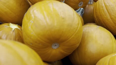 Close Up of a Pile of Yellow Pumpkins