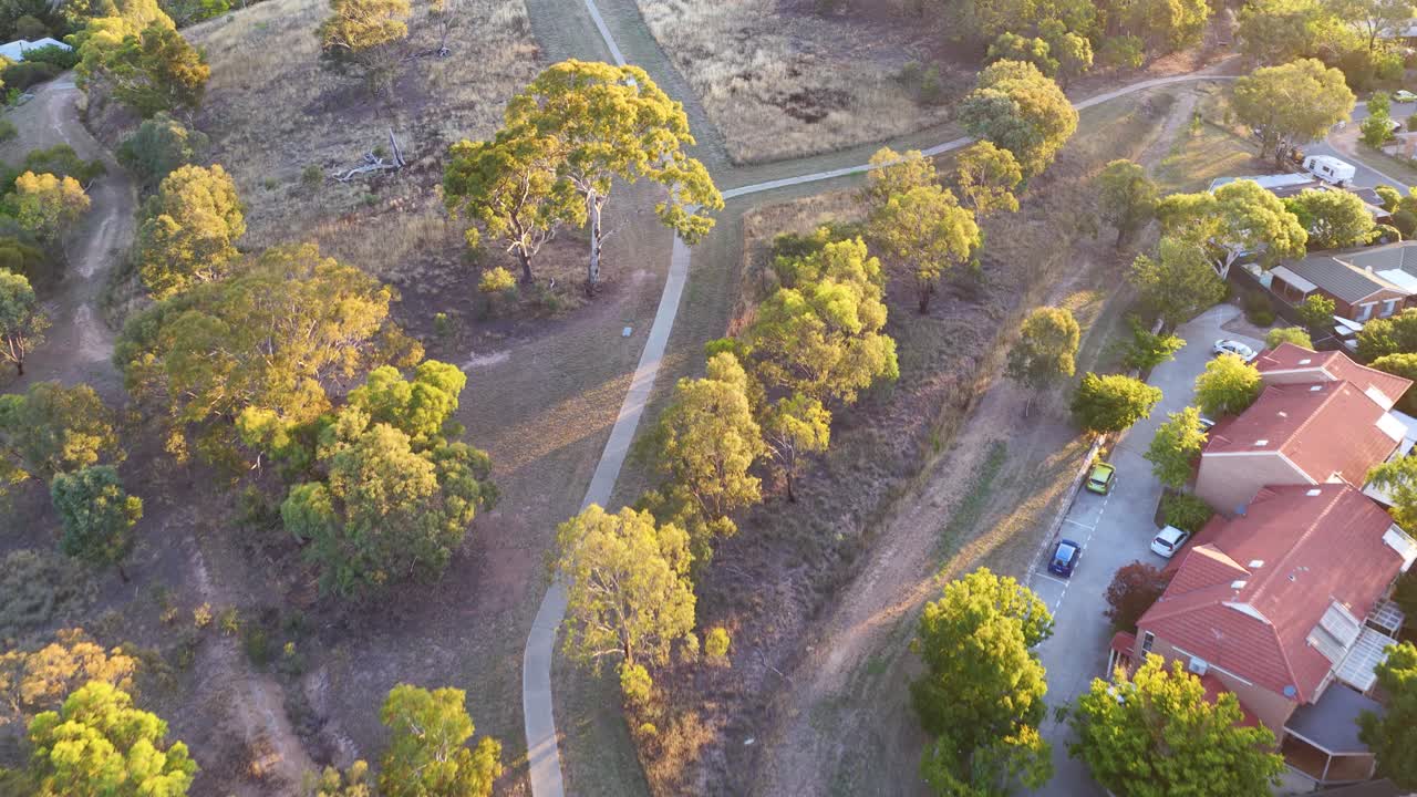 Ripresa aerea da drone ad angolo elevato che inquadra case residenziali e alberi di eucalipto nella calda luce serale
