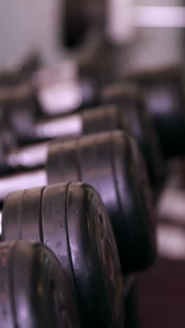 rack of heavy black dumbbells