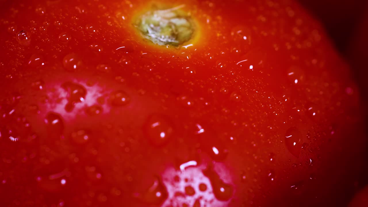 Detailed view of a single red tomato with water droplets and vibrant color.