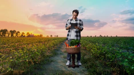 farmer using tablet in a field at sunset