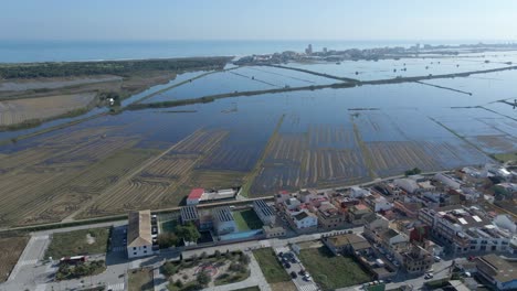 aerial view of coastal landscape with flooded rice paddies and salt marshes