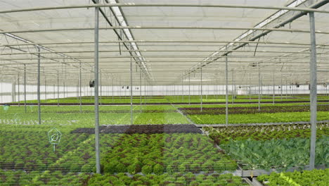 ar gráficos sobre los cultivos alimentarios producidos de manera sostenible en invernadero