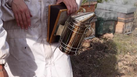 Crop-beekeeper-with-smoker-in-garden