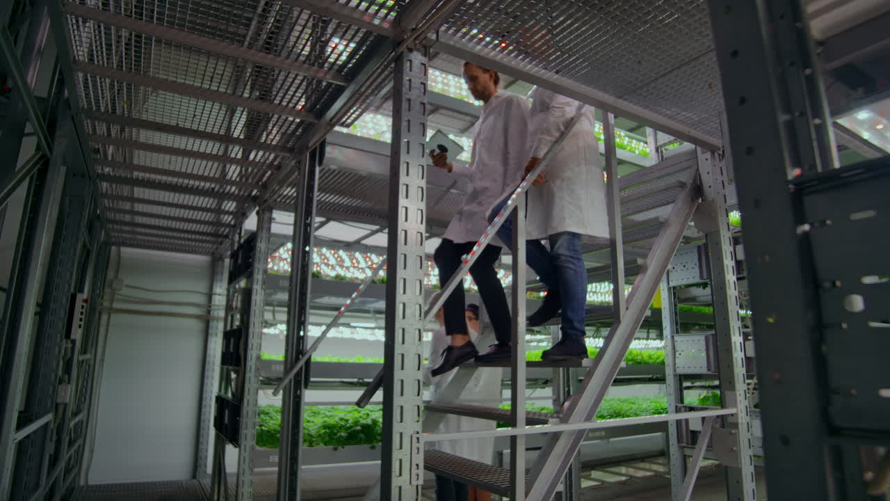 하 코트를 입은 현대 과학자들의 그룹은 손에 컴퓨터를 들고 녹색 식물의 플을 보고 토론하고 이야기합니다.