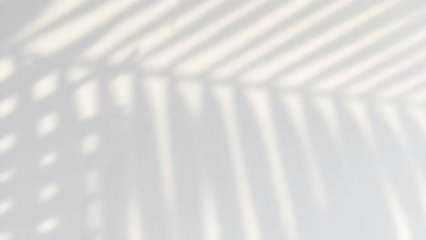 abstract video concept with soft shadows and light patterns on a white wall