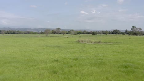 Vista-Del-Paisaje-De-Campo-Verde-Con-árboles