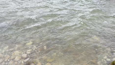Shallow, clear river water flows steadily over a bed of smooth stones in natural daylight. Subtle ripples and gentle current create a tranquil scene