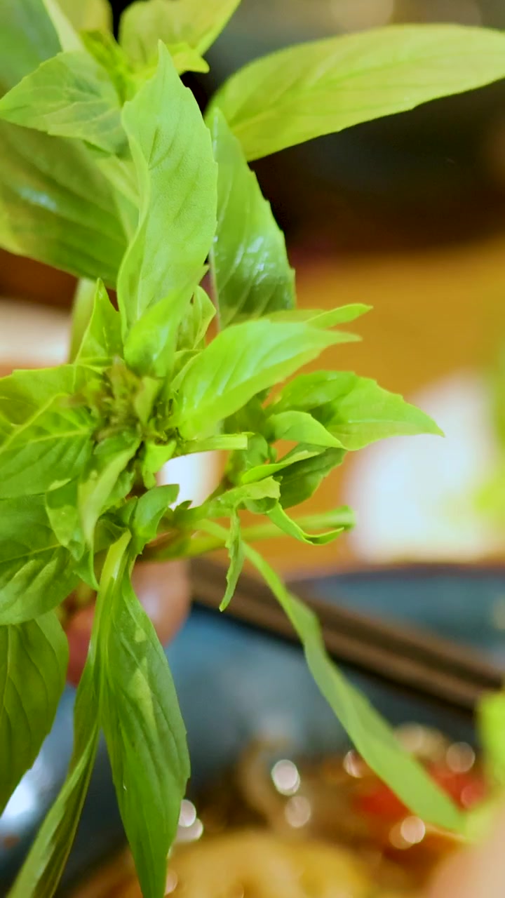Primo piano di mani che maneggiano foglie di basilico fresco in un ambiente cucina ben illuminato, evidenziando i colori verde vibrante e la preparazione culinaria.