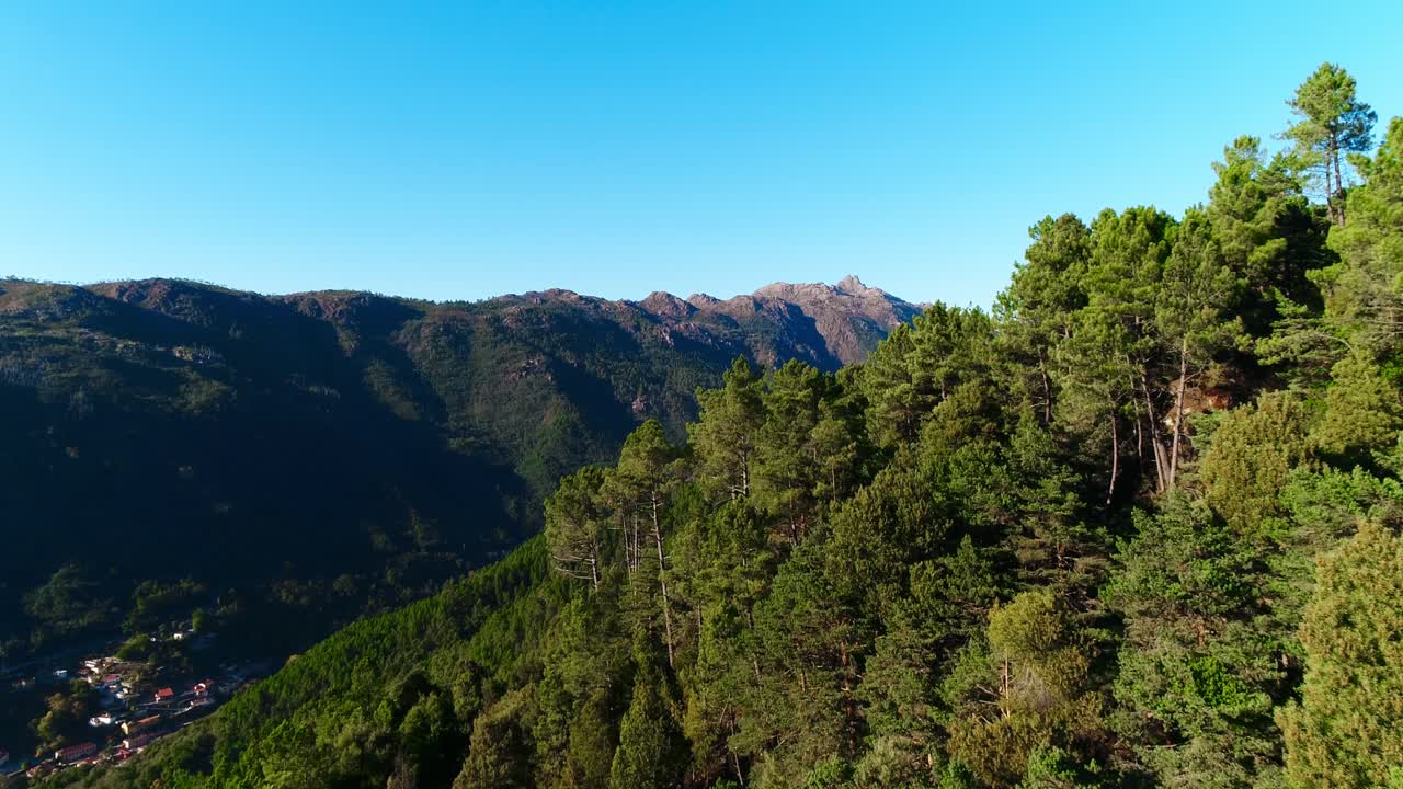 volando por encima de los árboles verdes en las montañas con el cielo azul en el fondo