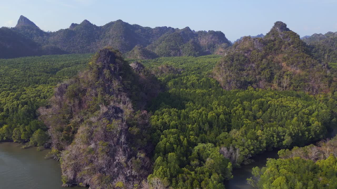 Fiume di mangrovie e colline in Malesia, Langkawi.