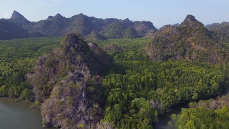 Manglares-Río-Colinas-Malasia-Langkawi