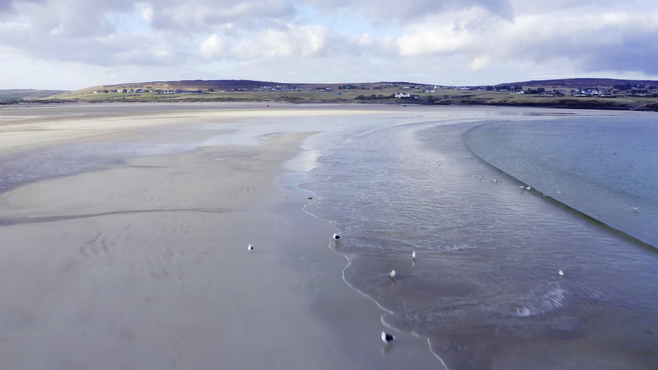 Drönarbild över fågelliv och sjöfåglar vid Gress Beach vid lågvatten på Yttre Hebriderna i Skottland
