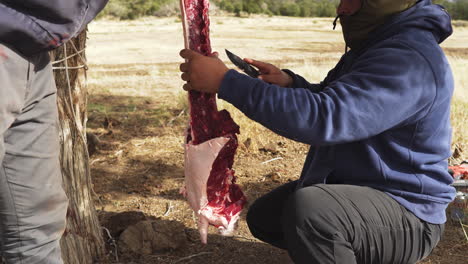 a man trimming meat from a hanging deer carcass on a tree using a knife.