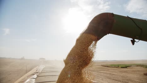 harvester unloading soybeans into truck after harvest