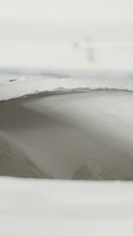 snowy landscape with bird reflection