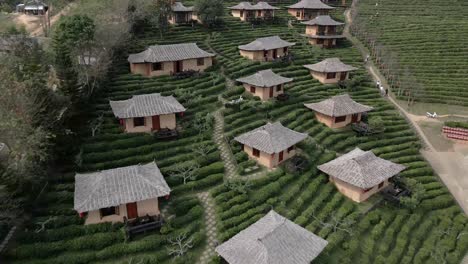 Reveal-shot-of-the-small-Japanese-houses-with-tea-fields-around