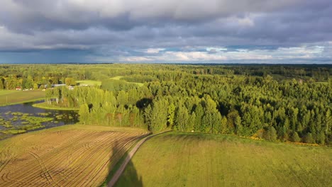 colorful latvian nature in golden hour with forest and agricultural fields, aerial dolly out