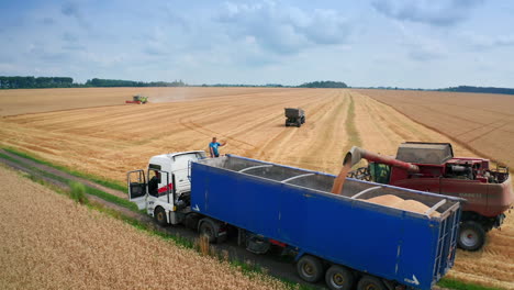 wheat harvest in progress
