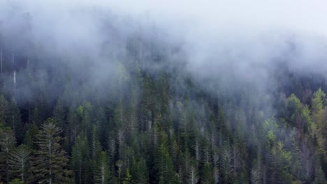 aerial view of dark mountain forest with moody white clouds in vosges, france 4k