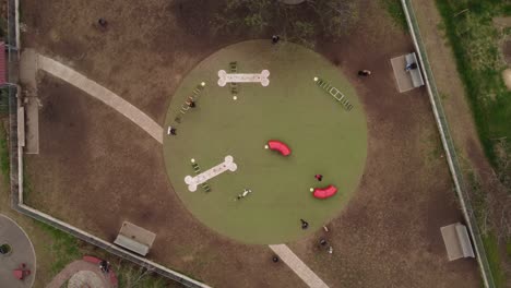 aerial top-down orbit over outdoor circular dog park, buenos aires