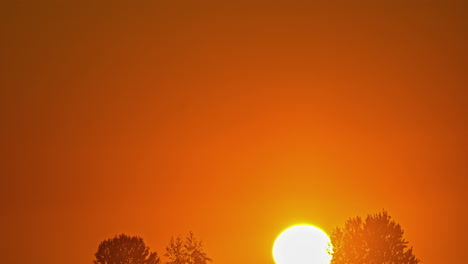 Hot-sun-shines-over-treetops-in-the-summer-in-the-countryside-in-Georgia