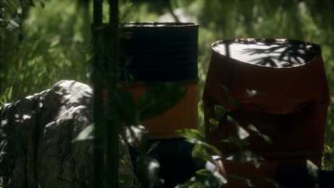 rusty barrels in green forest