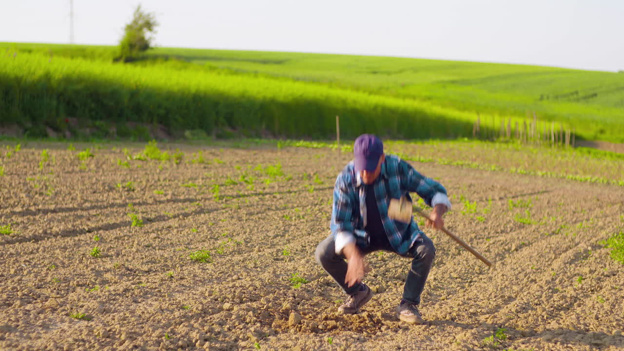Farmer Cultivating Soil and Planting Crops in Rural Field