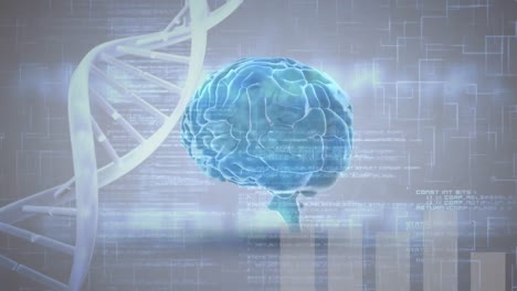 Digital-brain-and-DNA-helix-with-program-codes