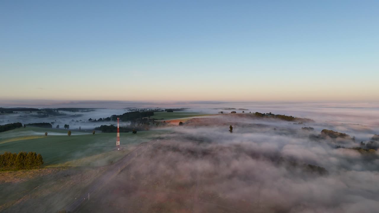 이른 아침에 이슬의 담요 아래의 마법의 풍경