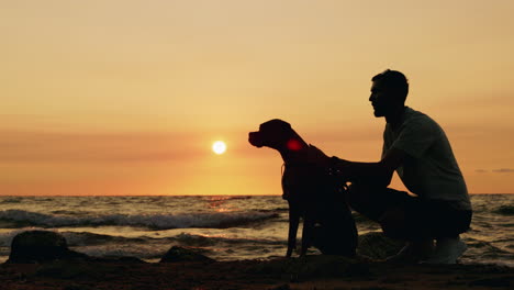 man and dog silhouettes at sunset on the beach