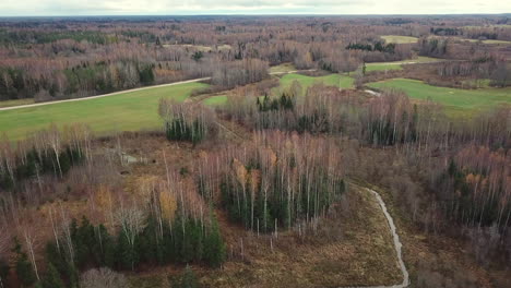 Lonely-and-dark-drone-overview-of-trees-without-leaves-in-cloudy-autumn-day