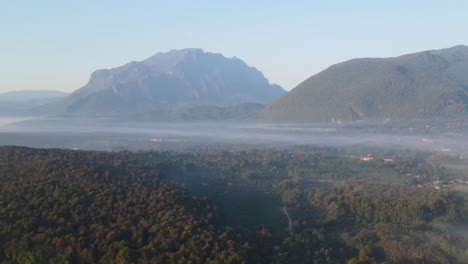 aerial view of morning fog over forest tops in chiang dao