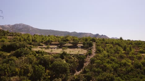 Eine-Hervorragende-Aussicht-Auf-Die-Reine-Natur