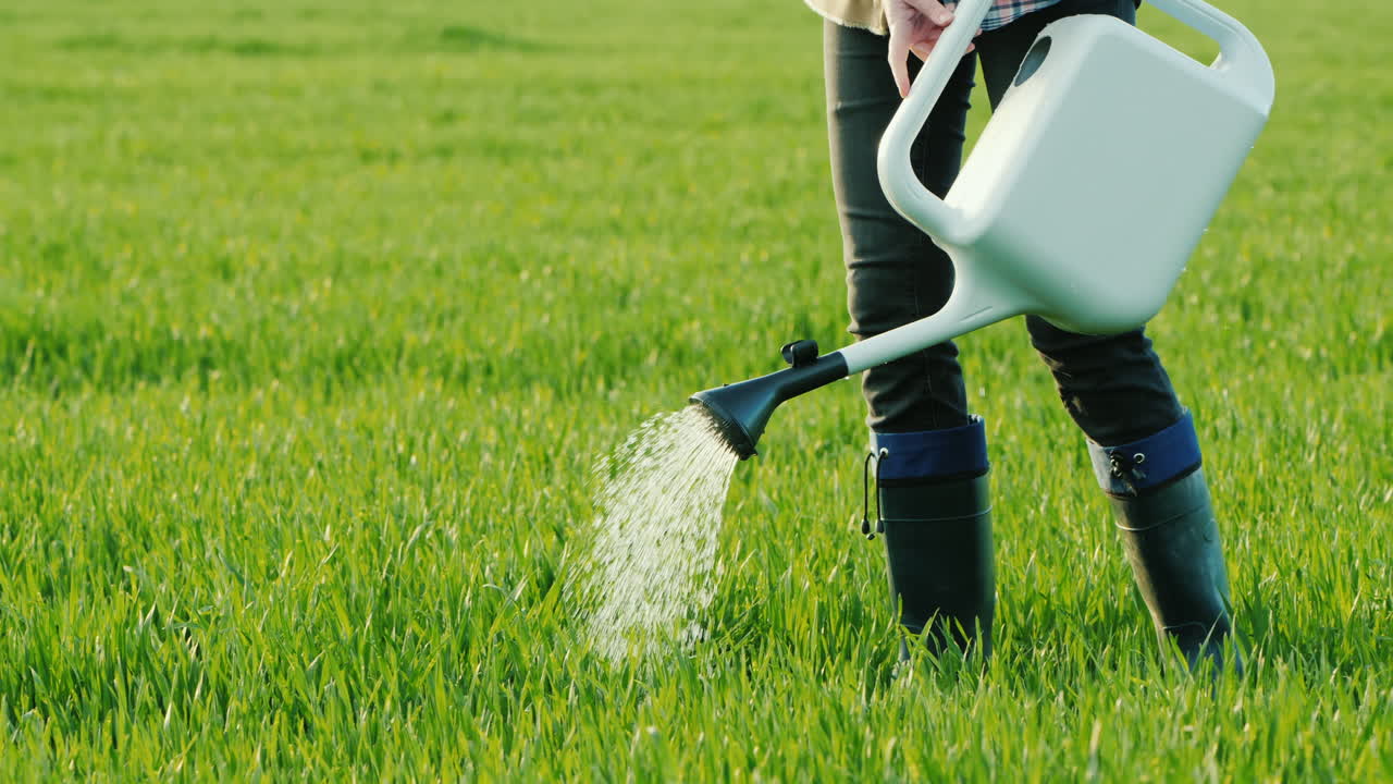 스프링클러에서 푸른 잔디에 물을 주는 남자