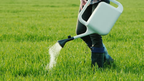 man watering green grass from a sprinkler