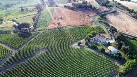 aerial view of the production areas of verdicchio white wine in the italian hills