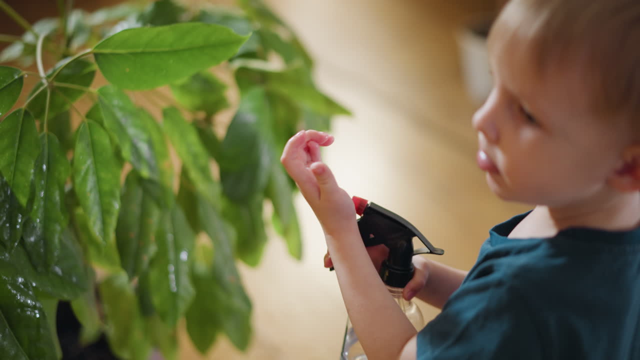 Child holding spray bottle watering green indoor plant leaves, learning responsibility, exploring nature care,improving environment with curiosity, to home greenery through playful activity