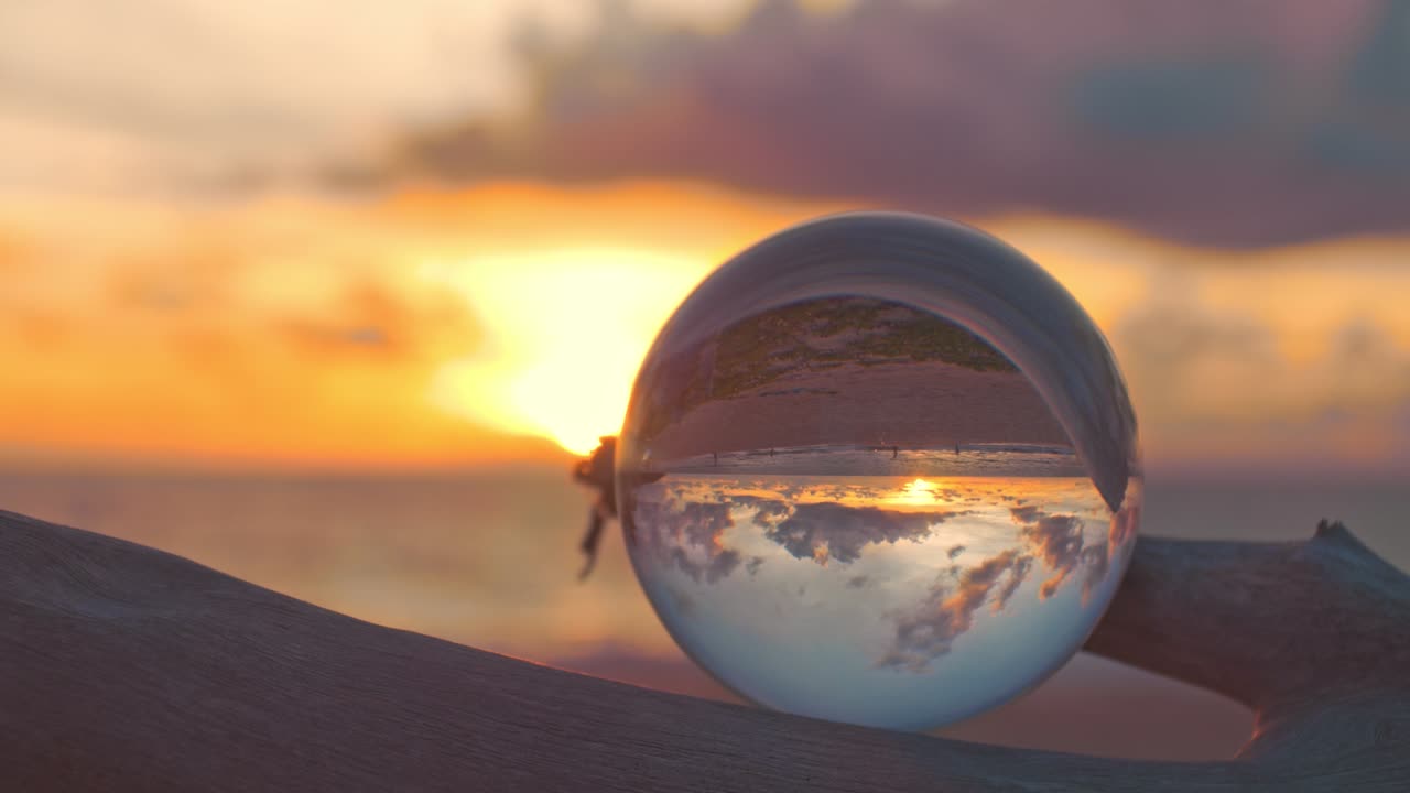 달한 해가 지는 나무 위의 크리스탈 공.