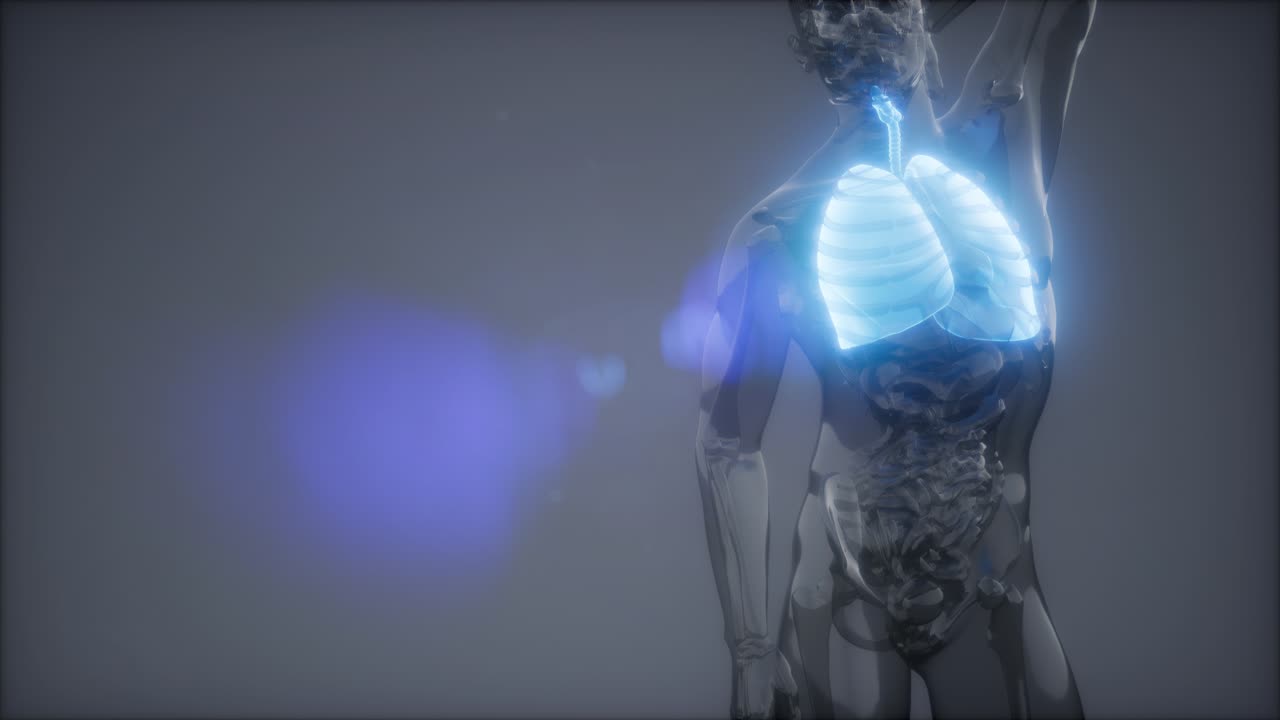 인간의 폐 방사선 검사