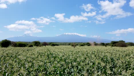 Drone-flying-in-farms-in-kilimanjaro-slopes--Green-Kenya-farms,-poor-settlement-africa-aerial-agronomic-plantation