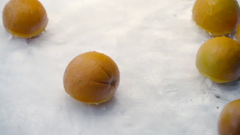 slomo of oranges falling into water on white backdrop